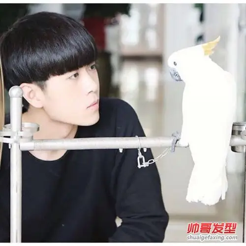 最适合学生的男生直发bobo头柔顺直发烫发波波头帅哥3