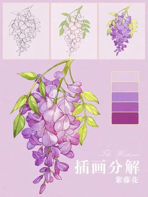 小物件插画分解丨紫藤花