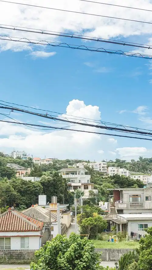 唯美森系小清新手机壁纸聊天背景超清壁纸