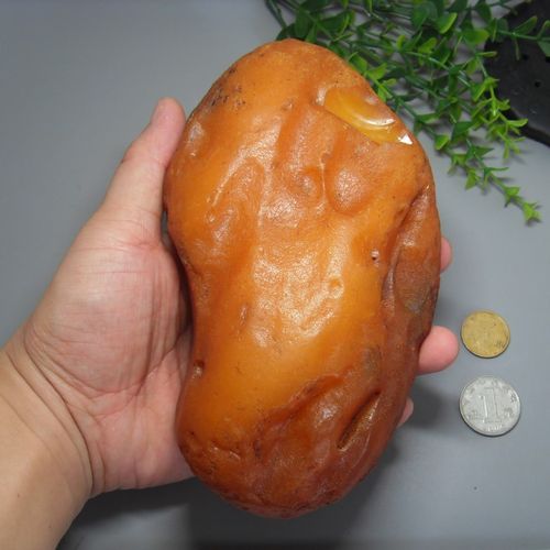 天然波罗的海带皮琥珀蜜蜡原矿大原石大块原料摆件收藏把玩料