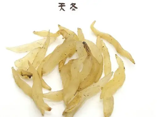 天冬的功效与作用