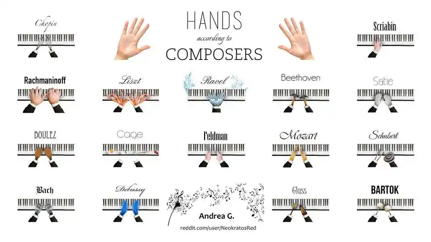 钢琴大师的手,跟我想的不一样?