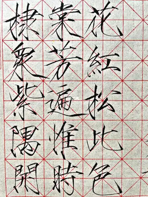 今天临的是棣棠花