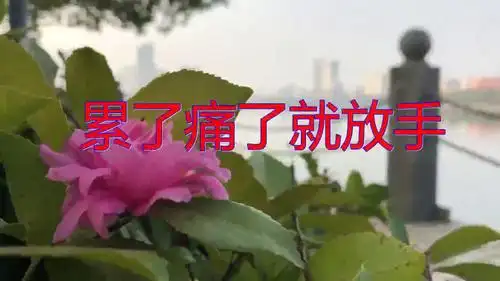 东方晴儿的《累了痛了就放手》,我已深深陶醉,无法自拔!