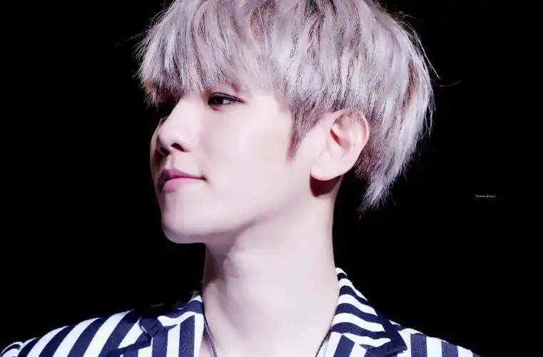 边伯贤# 151212the exoluxion in 南京演唱会