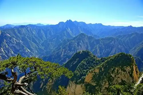 天热最好的心境是静心和沉稳