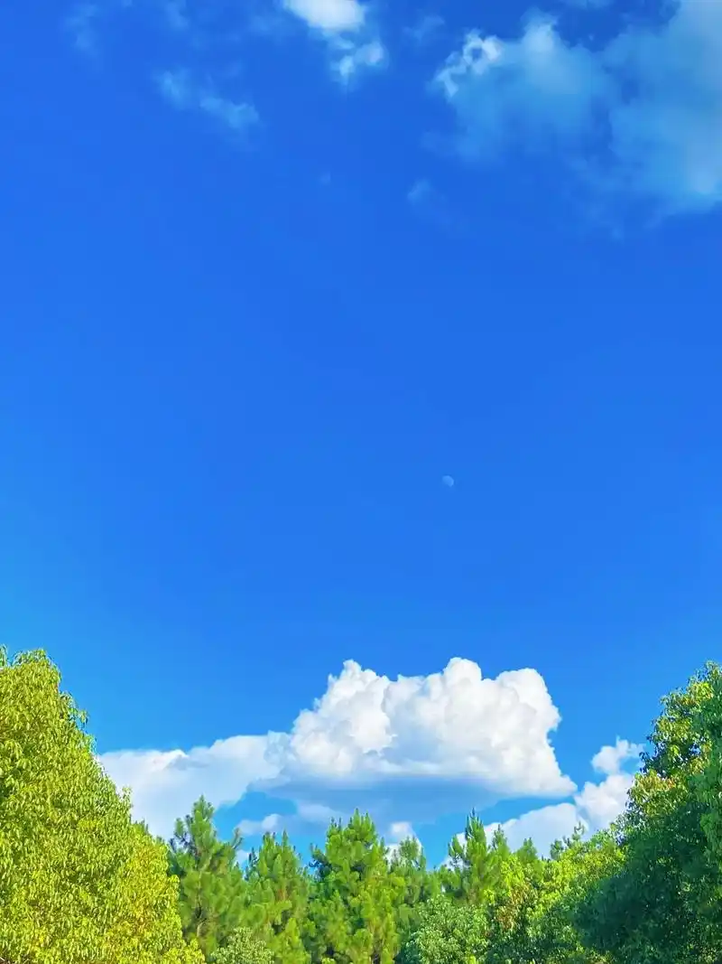 如果有人给你发天空的照片 "千变万化的样子底下是一成不变 - 抖音