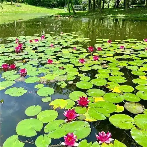 28张微信风景头像,有花有草有风景,太好看了_相关_标题_整理