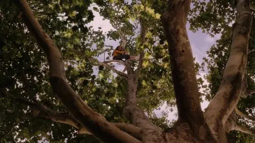 这些电影很好看的哟怦然心动