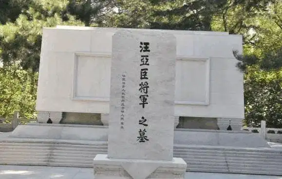 是因为在汪亚臣一家人迁徙到东北的路上,身上的粮食和钱财已经被一抢