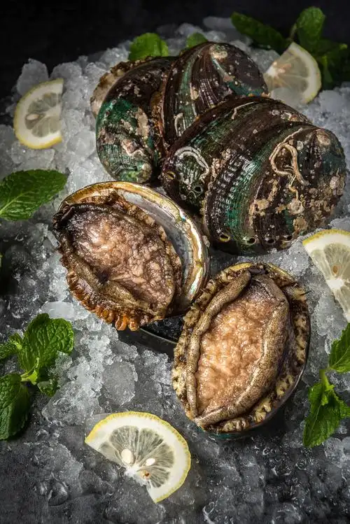 1/ 12 三头鲍大鲍鱼皇金鲍 三头鲍大鲍鱼皇金鲍 溏心干鲍皇金鲍 溏心