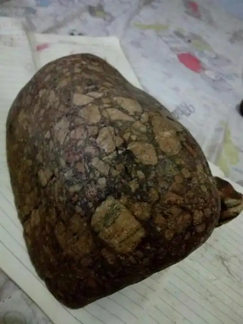 这是河边捡的,象月球陨石角砾岩石,请问是陨石吗