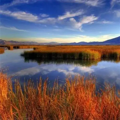 秋天的头像图片大全 高清有氛围感唯美适合秋天的微信头像_风景微信