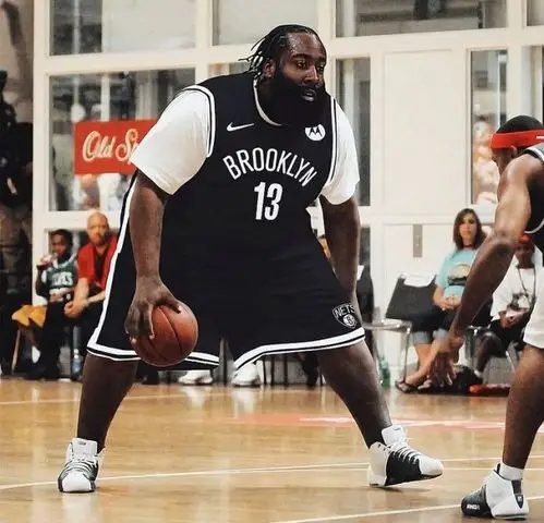 哈登这图火了!5年后大胡子会胖成这样?球迷调侃:布鲁克林云梯