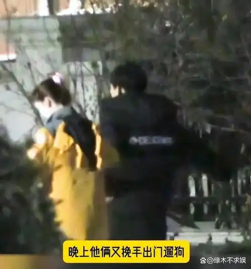 金晨否认是胡夏暗恋对象胡夏纯情人设崩塌双方粉丝吵翻天