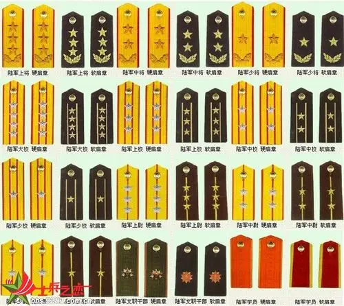 相册: 我的相册