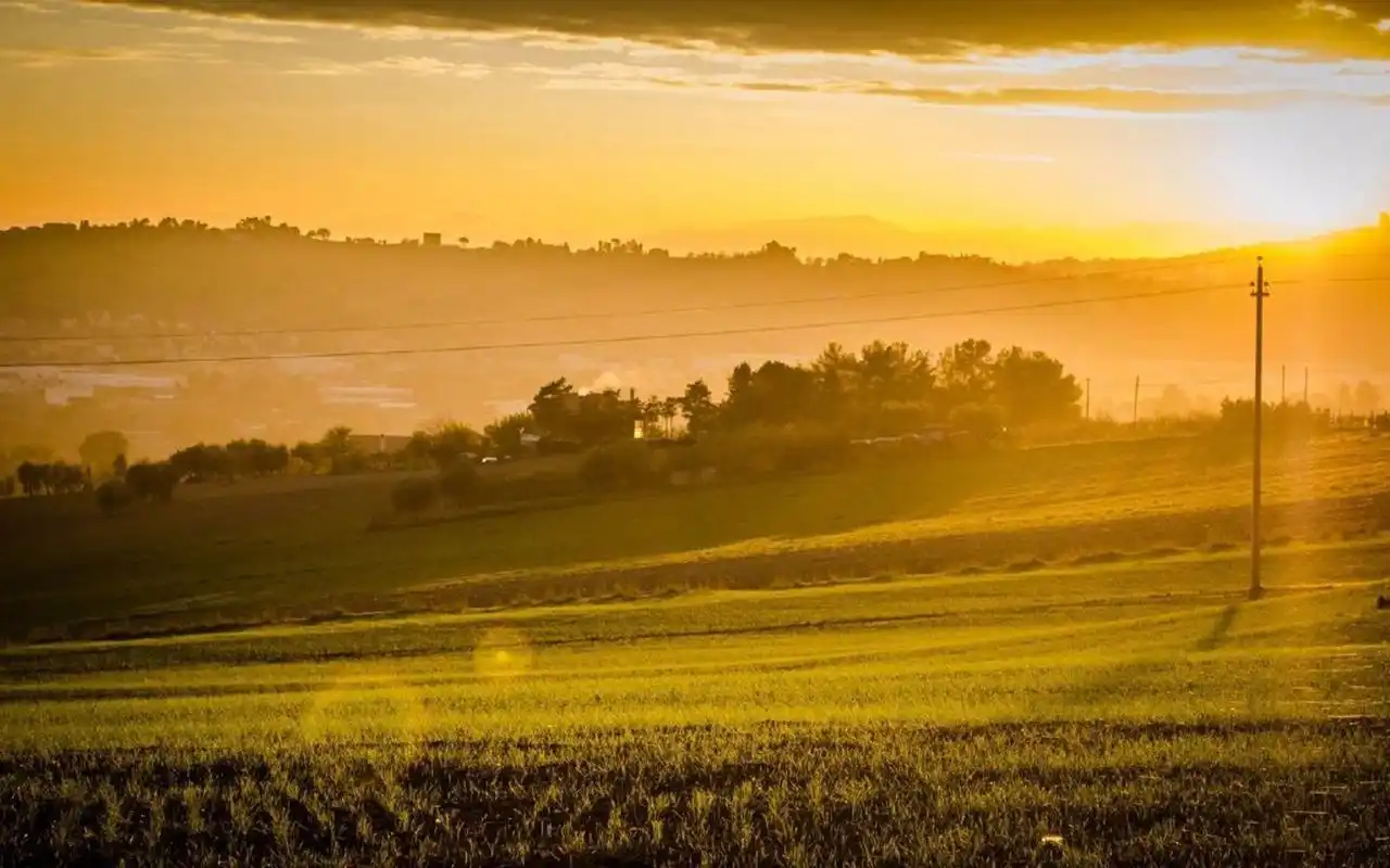 阳光明媚唯美风景,高清图片,壁纸,自然风景-桌面城市