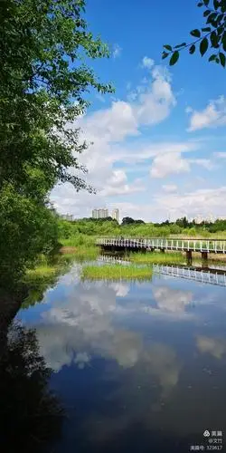 把魅力的倒影送给你(手机摄影)