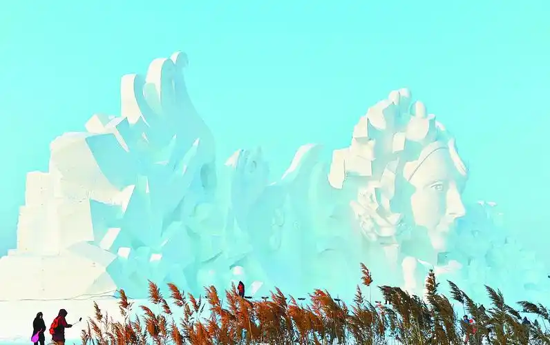 东北网 东北网黑龙江 经济·旅游 旅游   最后,宋琳告诉记者,要建立起