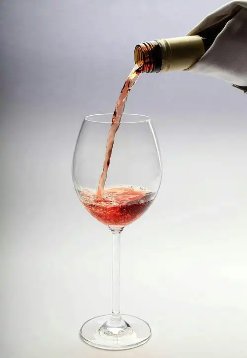 假如时光可以倒流 我依然会如此生活 让欢喜陪伴左右 敬生活一杯酒