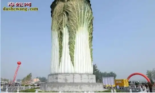 世界上最大的白菜高20米游客争相合影求发财