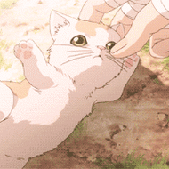 女生动态头像可爱卡通脸萌头像,动漫头像图片