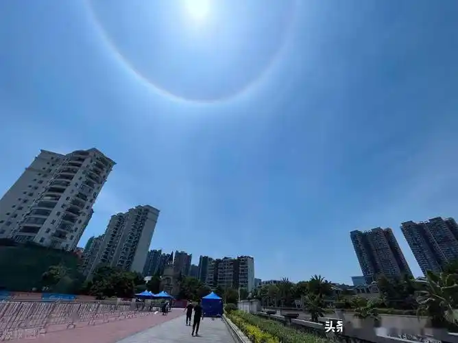 成都主城区上空罕见的日晕景观吸引市民围观