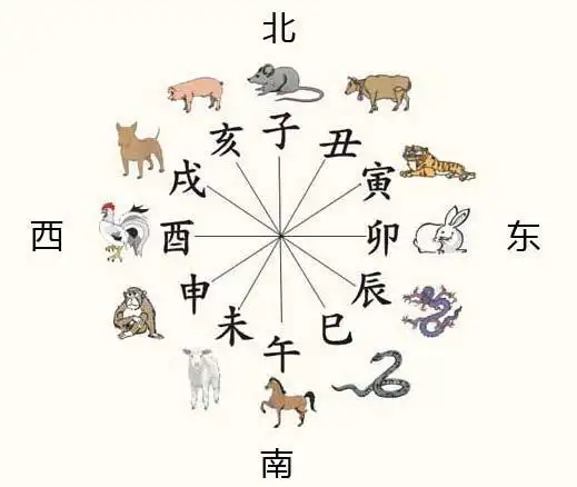 二十三,地支六冲特征和实例分析