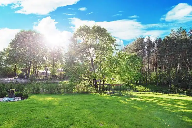 绿色,草地,树,春天,风景_高清图片_全景视觉