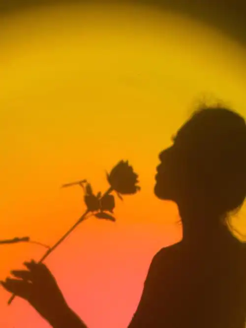 到晚上妝花了,懶得重畫靠剪影和日落燈用手機拍了這組照片影子最好p了