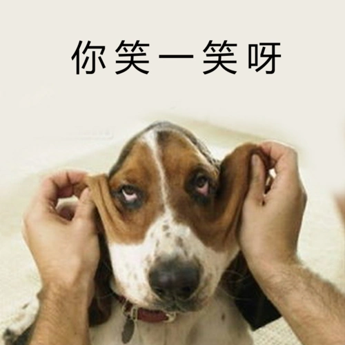 模板商城 搞笑表情 你笑一笑嘛 1/1 分享 浏览(272) 收藏 (2) 设计师