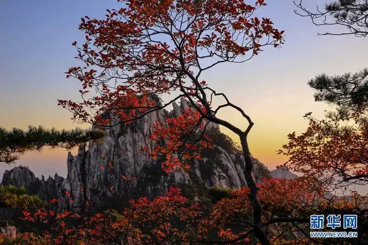 层林尽染美如画一揽秋山看朝阳