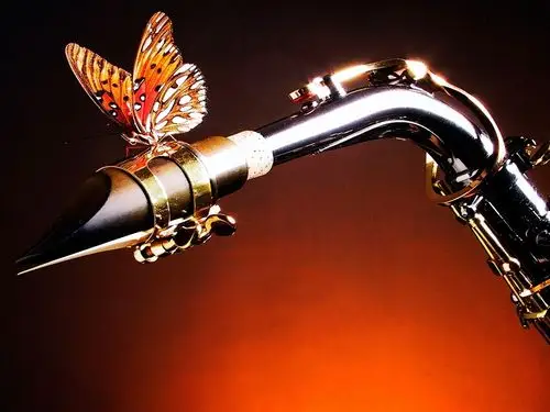 萨克斯和蝴蝶,音乐主题 桌布 - 1024x768