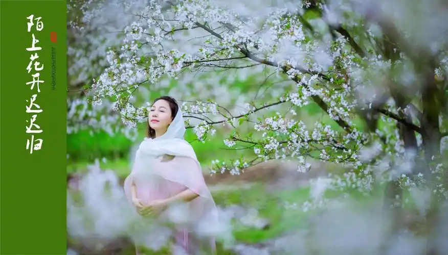 最美人生,淡然一笑