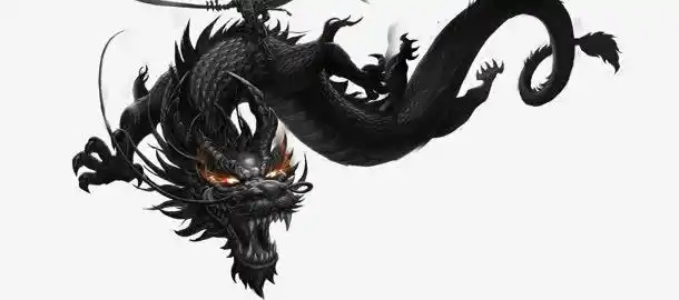 中国龙黑色龙祥云吉祥