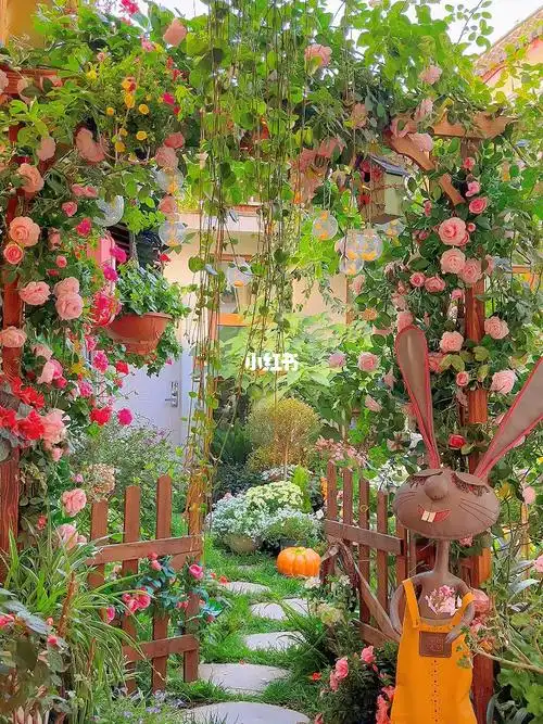 刷爆全网丽江花园民宿一秒进入爱丽丝仙境