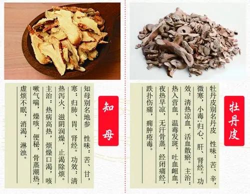 知母又名地参探索神奇功效的秘密