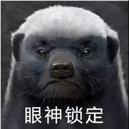 怼人表情包——平头哥系列