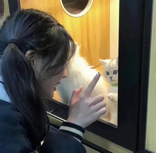 第1152期女生头像1012适合学生党的微信头像