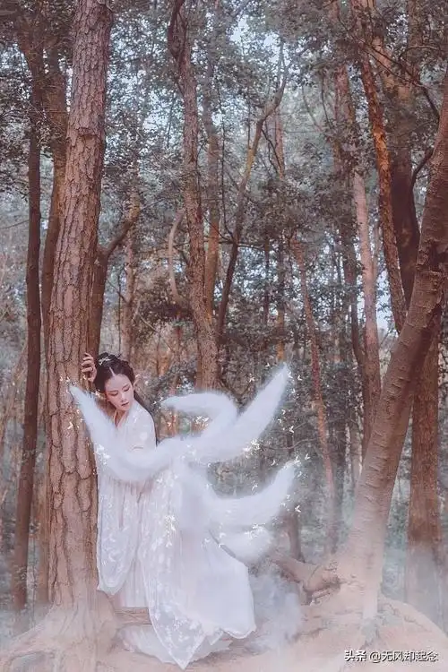 世界上有九尾狐吗(九尾狐都是妲己这样的美女吗)