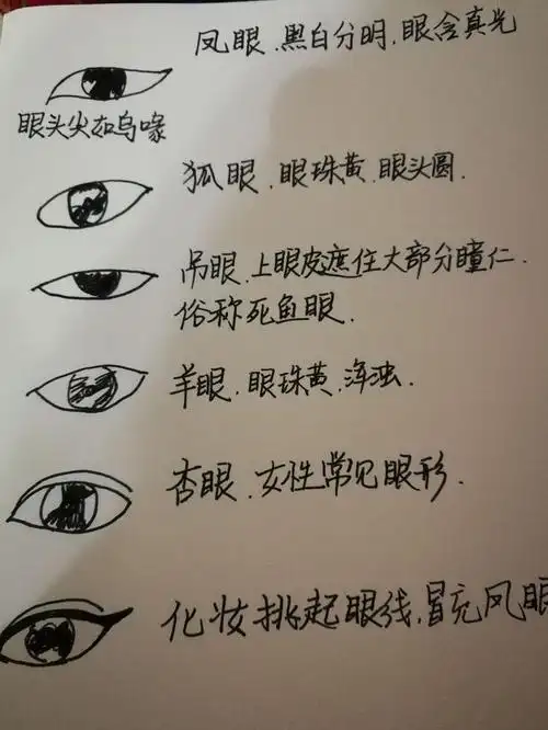 看到眼相,除了眼型,眼睛,瞳孔大小,瞳孔位置,瞳孔颜色,白色环境都很
