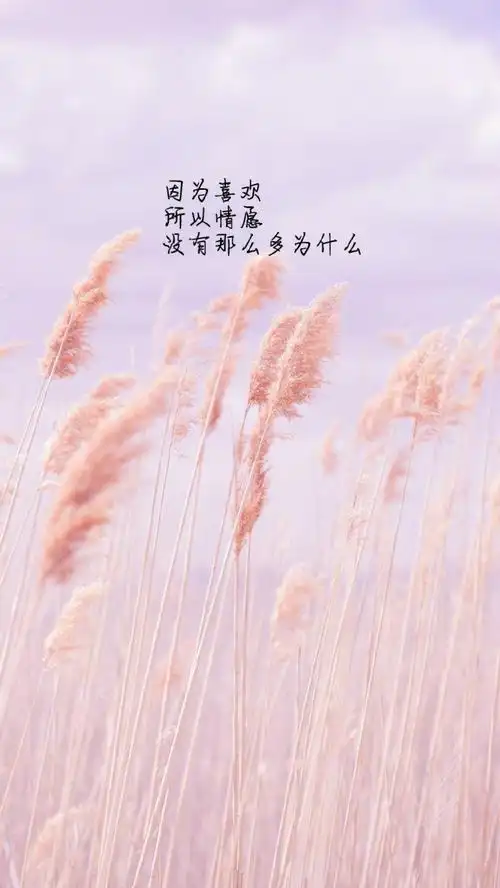 带文字的图片情感因为喜欢所以情愿