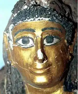 雍正皇帝棺椁为何只有金头颅和尸身发生什么事