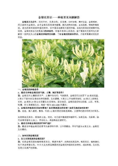 金银花常识——种植常见问题解答.doc