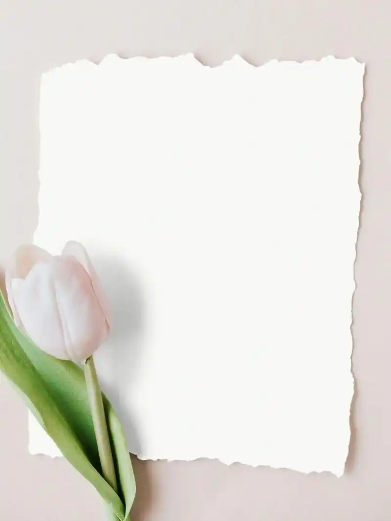 高级感晒单底图书单底图背景图美学素材分享 #浪漫生活的记录者