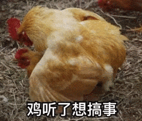 搞事 母鸡 搞笑 斗图 叠一起