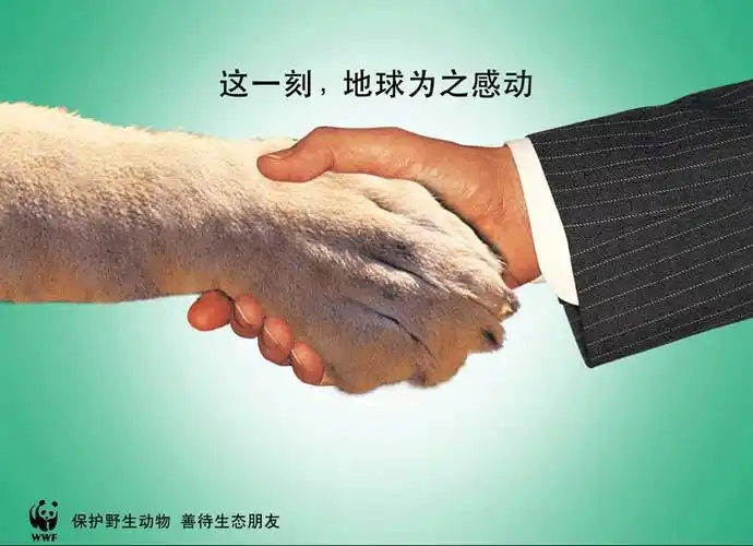 保护野生动物广告语