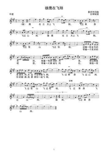 雄鹰在飞翔(线谱)