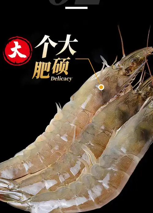 超大鲜活青岛大虾特大海捕青虾基围虾对虾海虾水产海鲜3000g1213cm