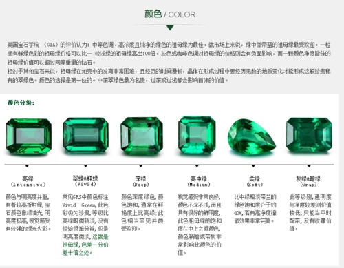 宝石交易商走进祖母绿小课堂